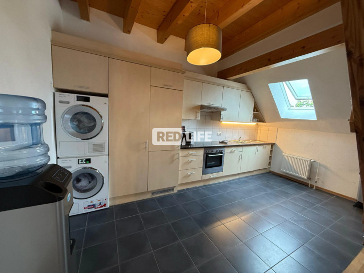 chirie fixă închiriere apartament închiriere